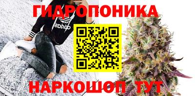 альфа пвп Новокубанск