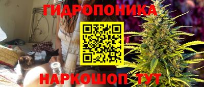 МДПВ Новозыбков
