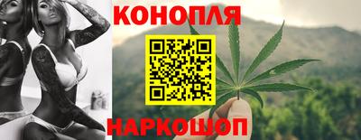 альфа пвп Новокубанск