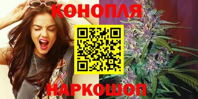 альфа пвп Новокубанск
