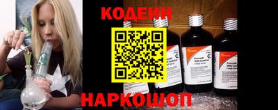 МДПВ Новозыбков