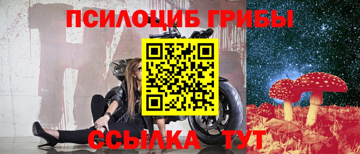 Псилоцибиновые грибы мицелий  Галлюциногенные грибы MAGIC MUSHROOMS  Тимашёвск  как найти наркотики  Вход с VPN 
